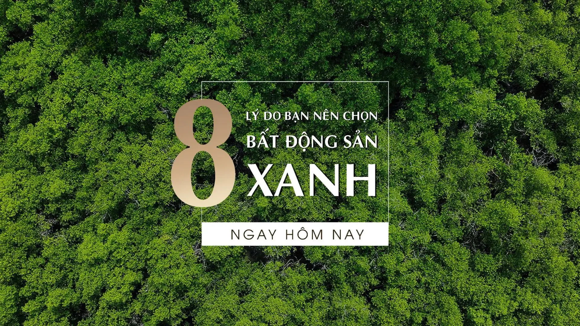 Vì sao bất động sản xanh ngày càng thu hút? 8 lý do không thể bỏ qua 
